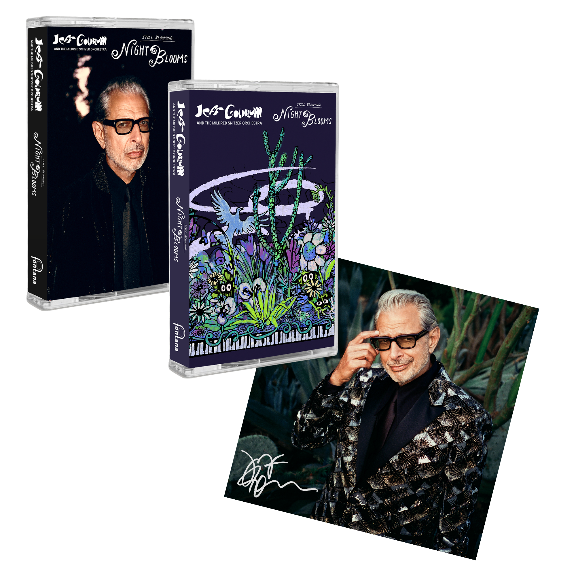The 'Night Blooms' Cassette Bundle (Signed)