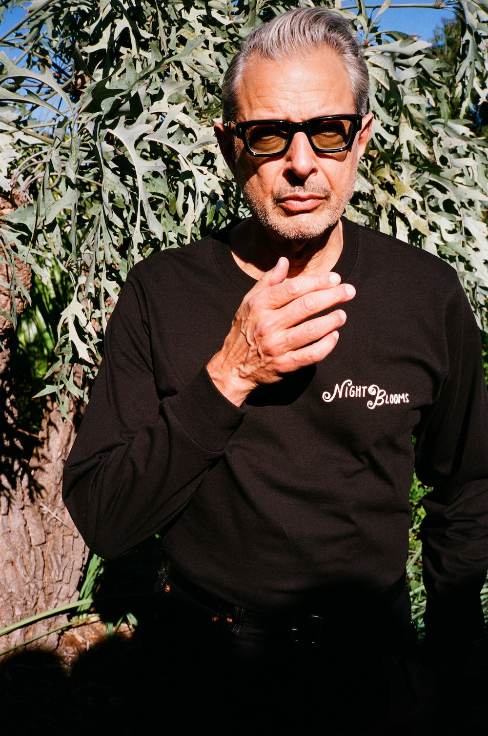 Merchandise - Jeff Goldblum